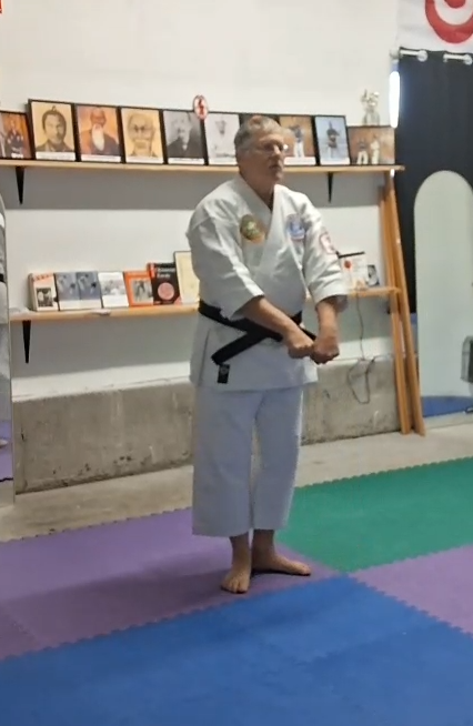 Pinan Shodan kata video